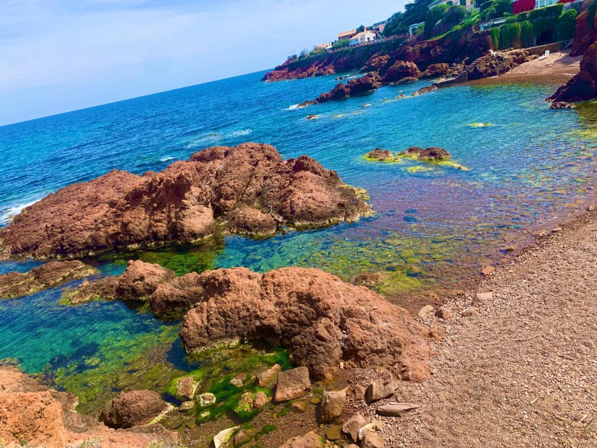 La Belle Vue-Charming Duplex Apartment With Sea View, 50 Meters From Beach And Private Parking Saint-Raphaël Kültér fotó